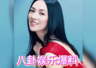 娱乐吃瓜明星团,明星团幕后故事大揭秘