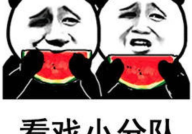 娱乐吃瓜的照片,明星旧照中的青春印记